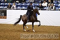 09usn-06138 proof
