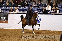 09usn-06141 proof