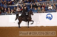 09usn-06143 proof