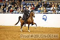 09usn-06144 proof
