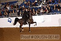 09usn-06148 proof