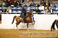 09usn-06150 proof