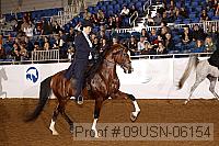 09usn-06154 proof