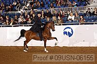 09usn-06155 proof