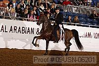 09usn-06201 proof