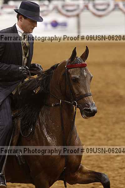 Proof 09usn-06204