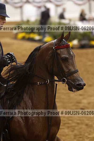 Proof 09usn-06206