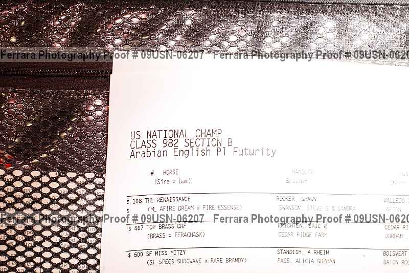 Proof 09usn-06207