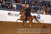 09usn-06210 proof
