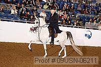 09usn-06211 proof