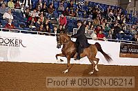 09usn-06214 proof