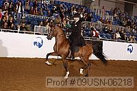 09usn-06218 proof