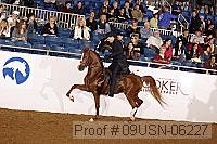 09usn-06227 proof
