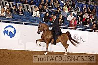 09usn-06239 proof