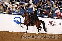 09usn-06242 proof