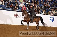 09usn-06244 proof