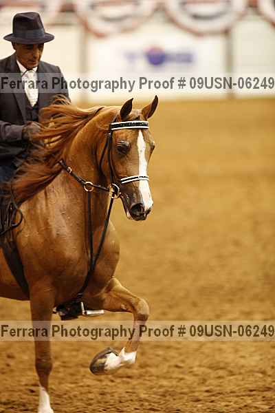 Proof 09usn-06249