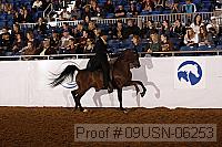 09usn-06253 proof