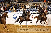 09usn-06255 proof