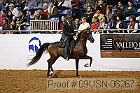 09usn-06267 proof
