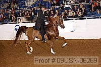 09usn-06269 proof