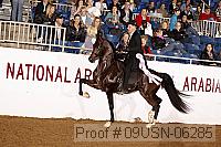 09usn-06285 proof