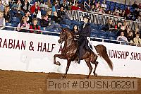 09usn-06291 proof