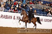09usn-06294 proof