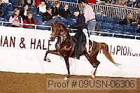 09usn-06306 proof
