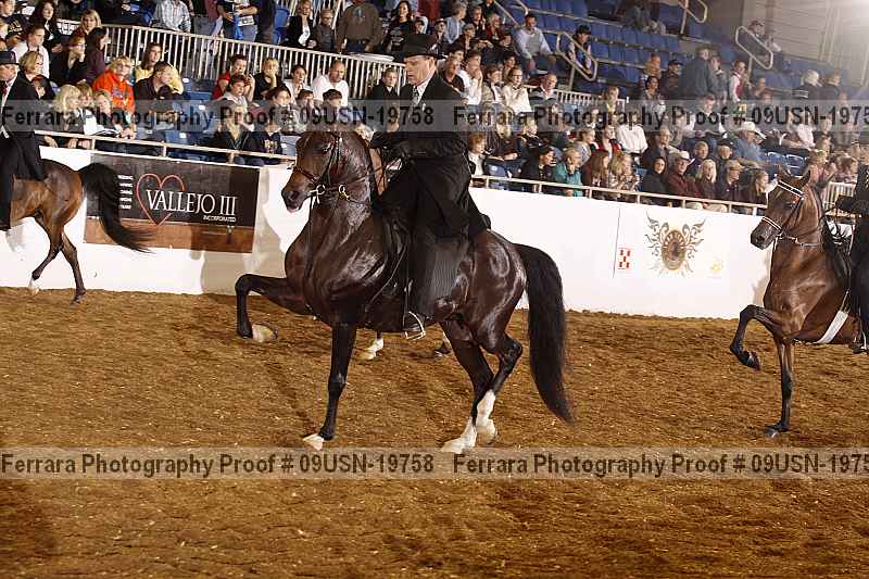 Proof 09usn-19758