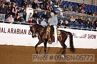 09usn-05772 proof