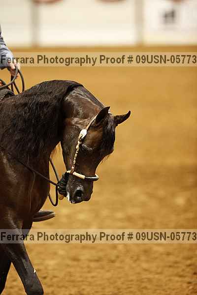 Proof 09usn-05773