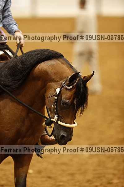 Proof 09usn-05785