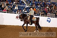 09usn-05790 proof