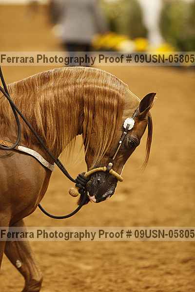 Proof 09usn-05805