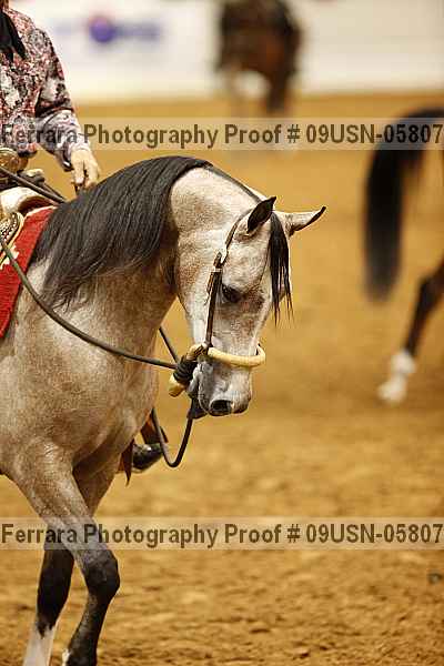Proof 09usn-05807