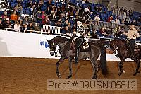 09usn-05812 proof