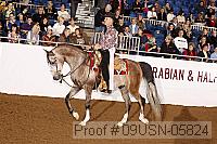 09usn-05824 proof