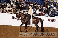 09usn-05827 proof