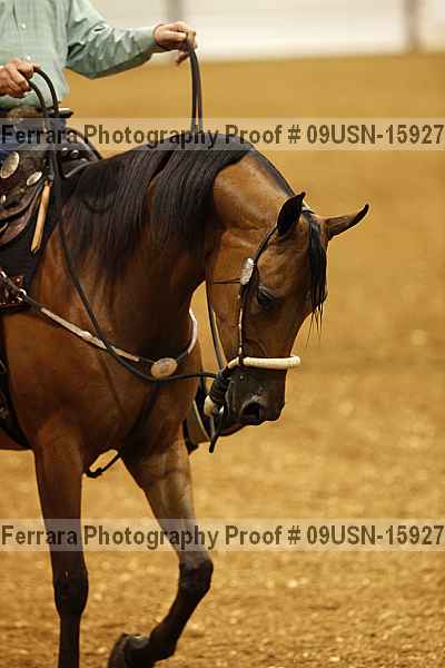 Proof 09usn-15927
