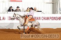 09usn-08313 proof