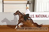 09usn-08324 proof