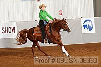09usn-08333 proof