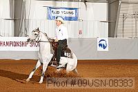 09usn-08383 proof