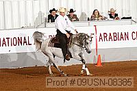09usn-08385 proof