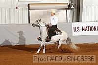 09usn-08386 proof