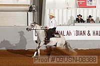 09usn-08388 proof