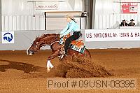 09usn-08395 proof
