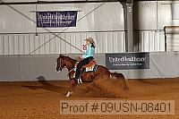 09usn-08401 proof