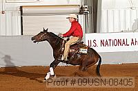 09usn-08405 proof